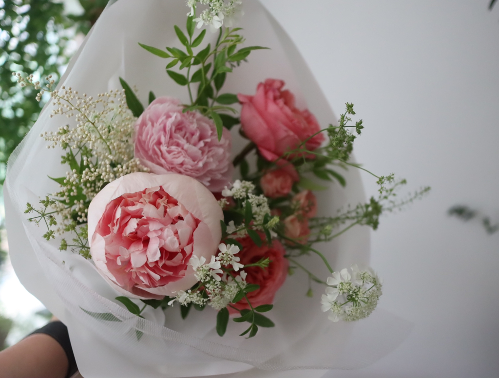 게시글 대표 이미지