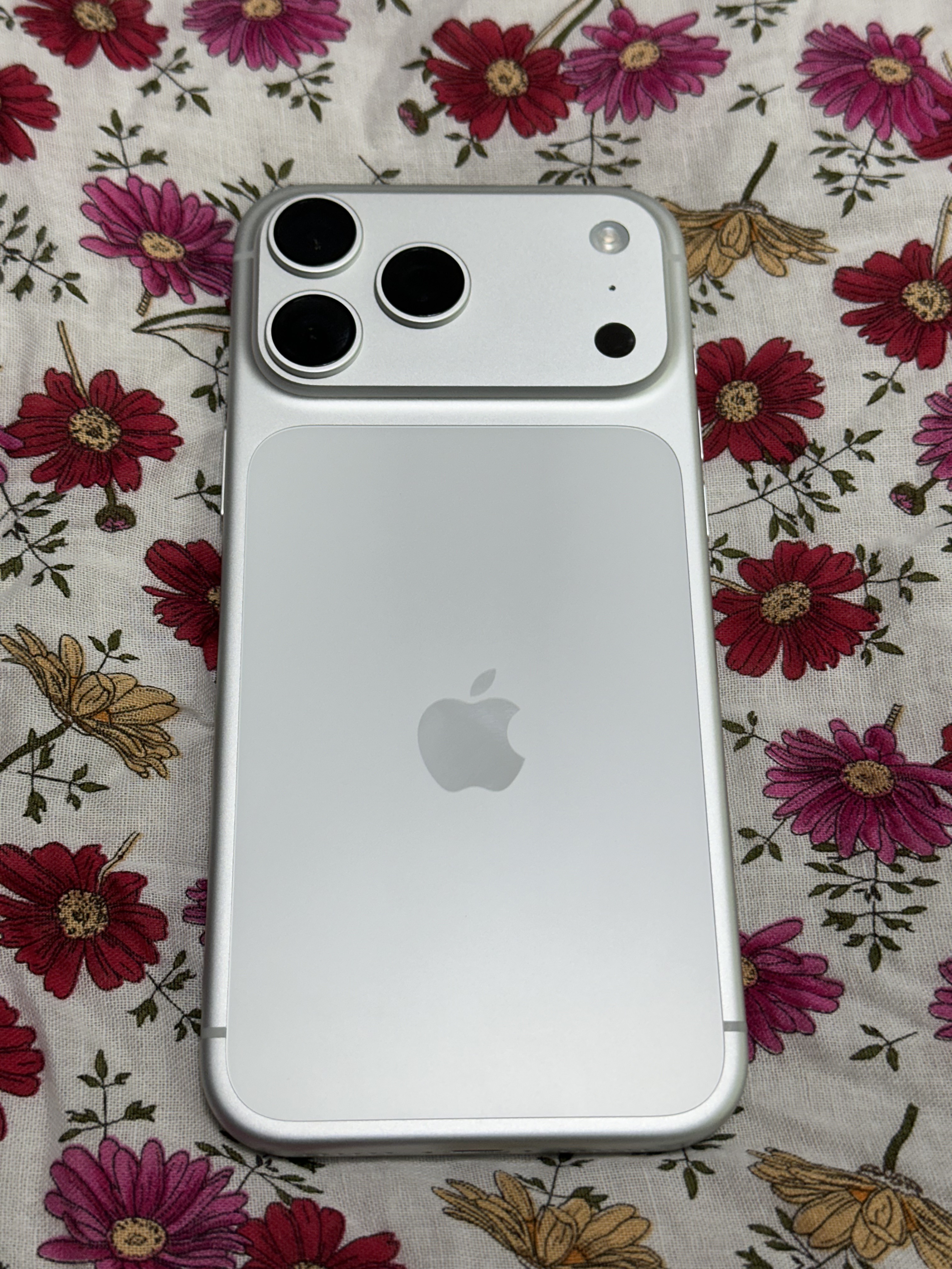 게시글 대표 이미지