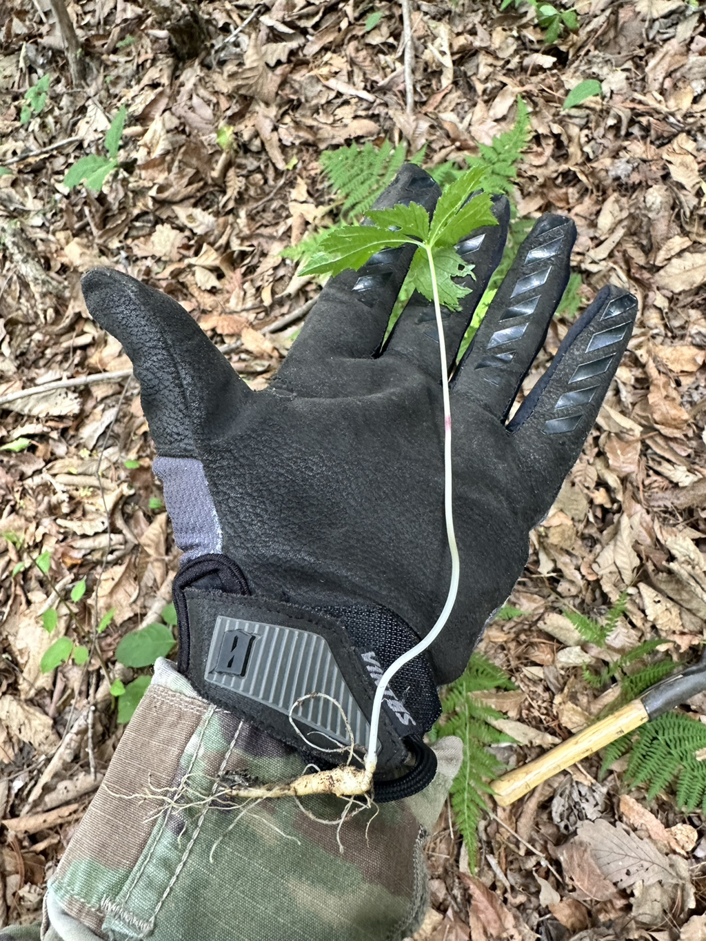 게시글 대표 이미지