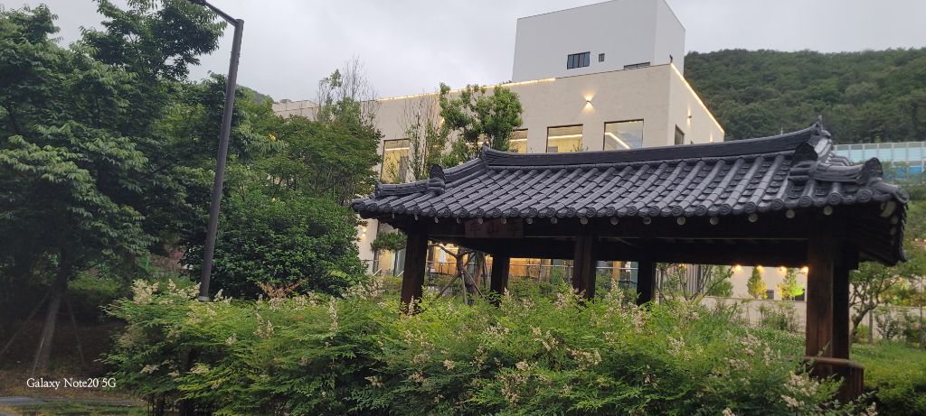 게시글 대표 이미지