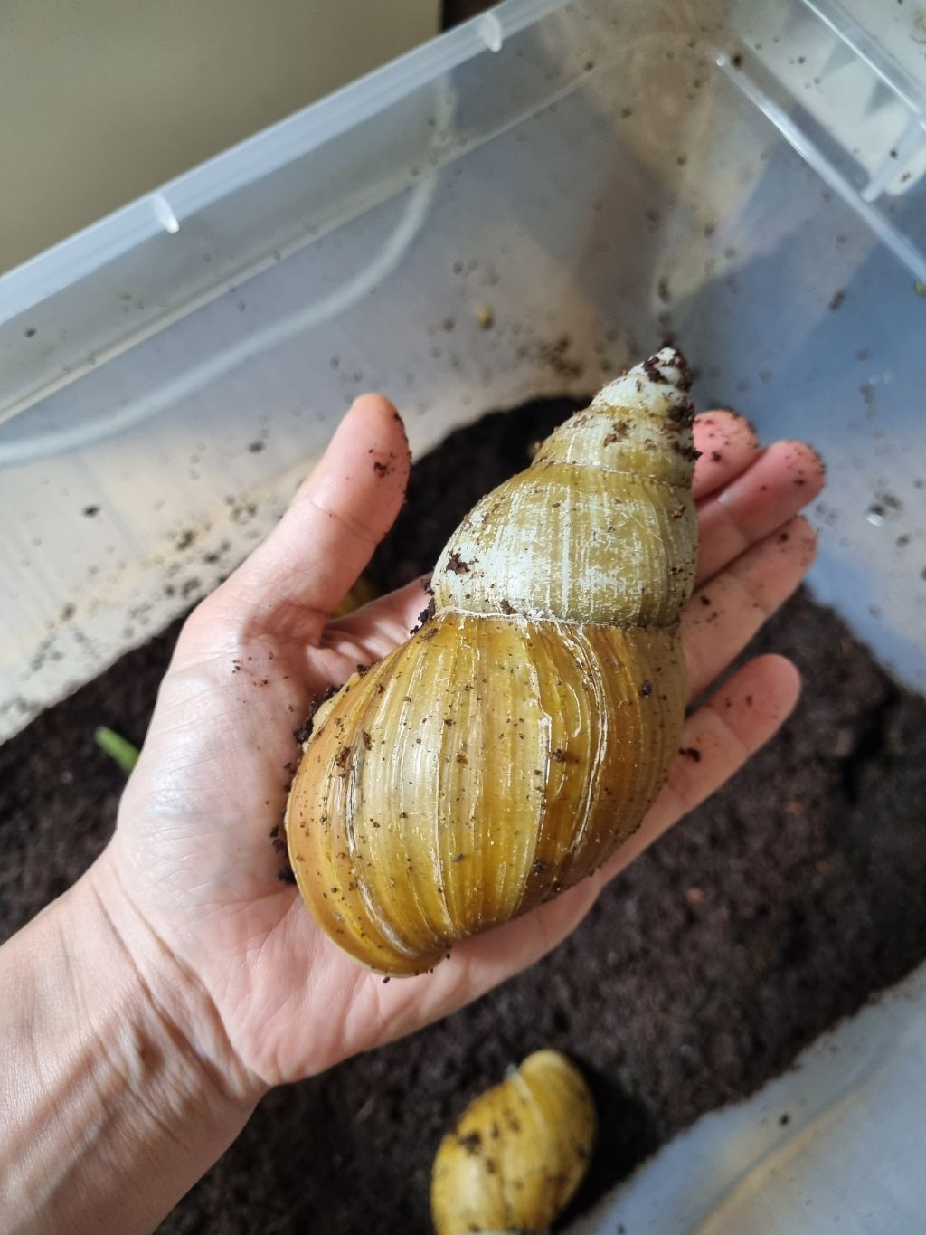 게시글 대표 이미지