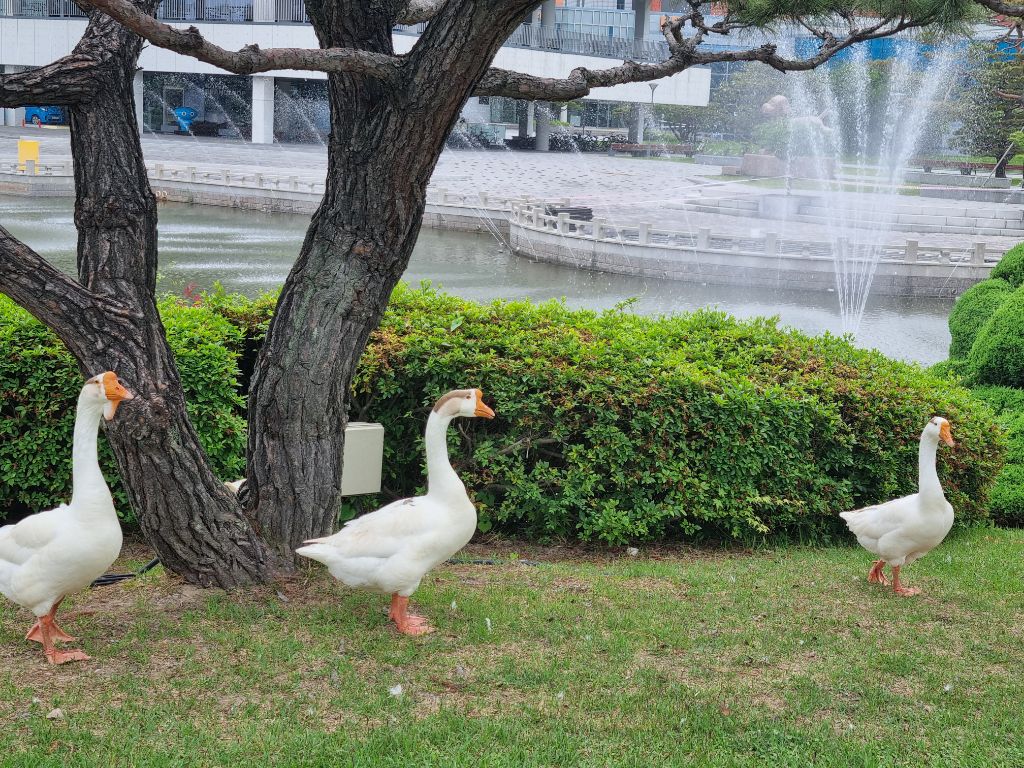 게시글 대표 이미지