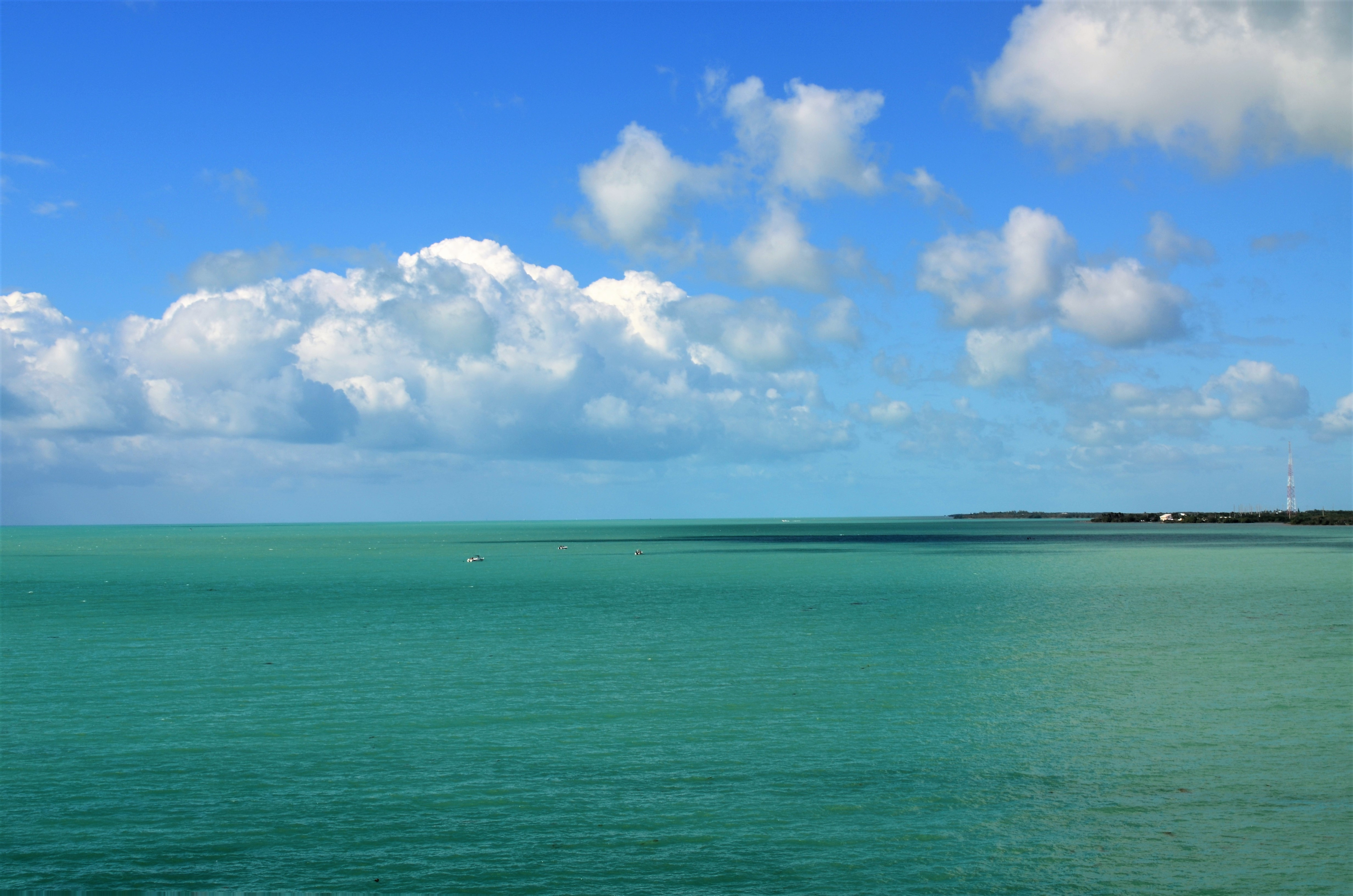 게시글 대표 이미지