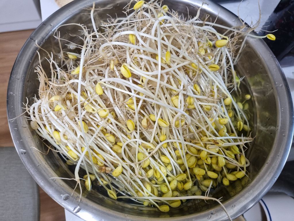 게시글 대표 이미지