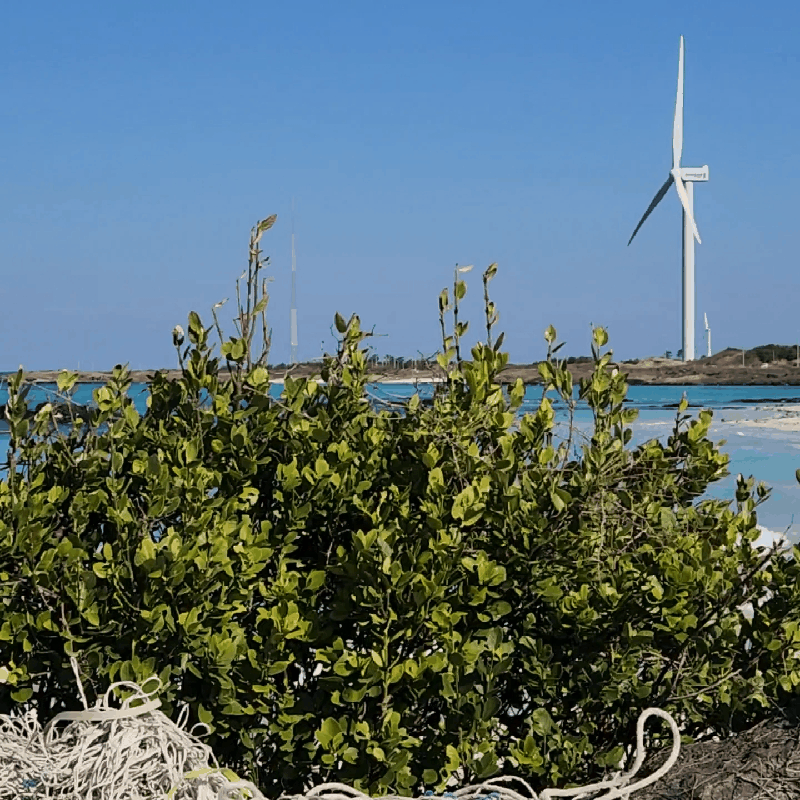 게시글 대표 이미지