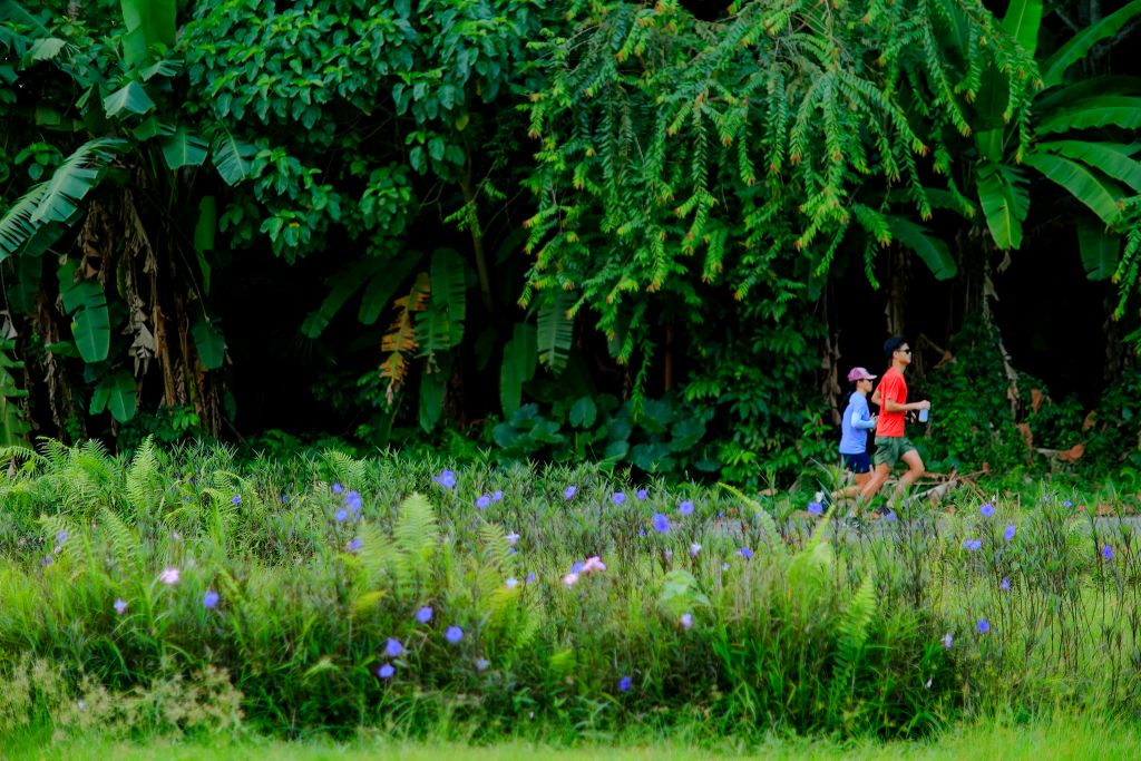 게시글 대표 이미지