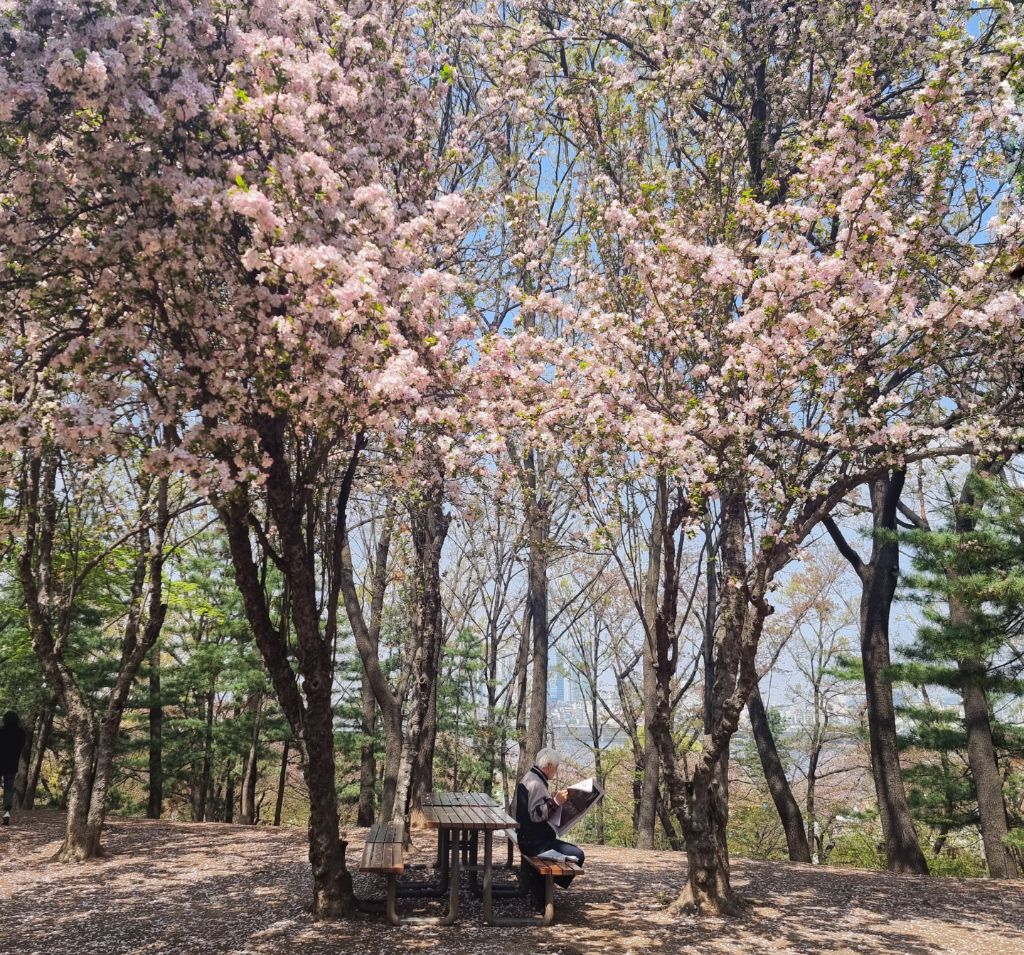 대표이미지