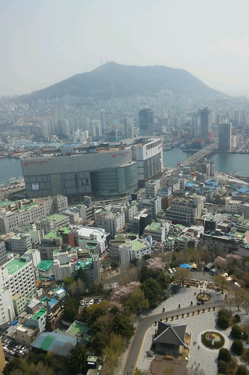 게시글 대표 이미지