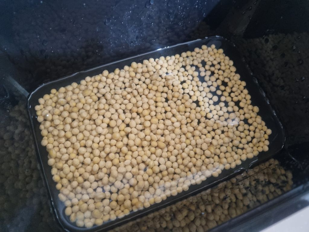 게시글 대표 이미지