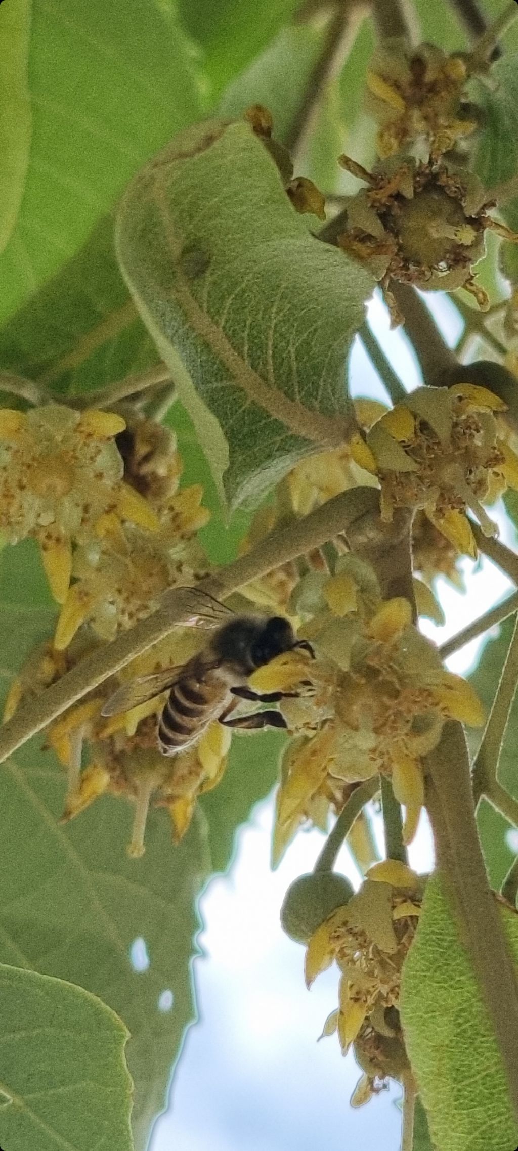 게시글 대표 이미지