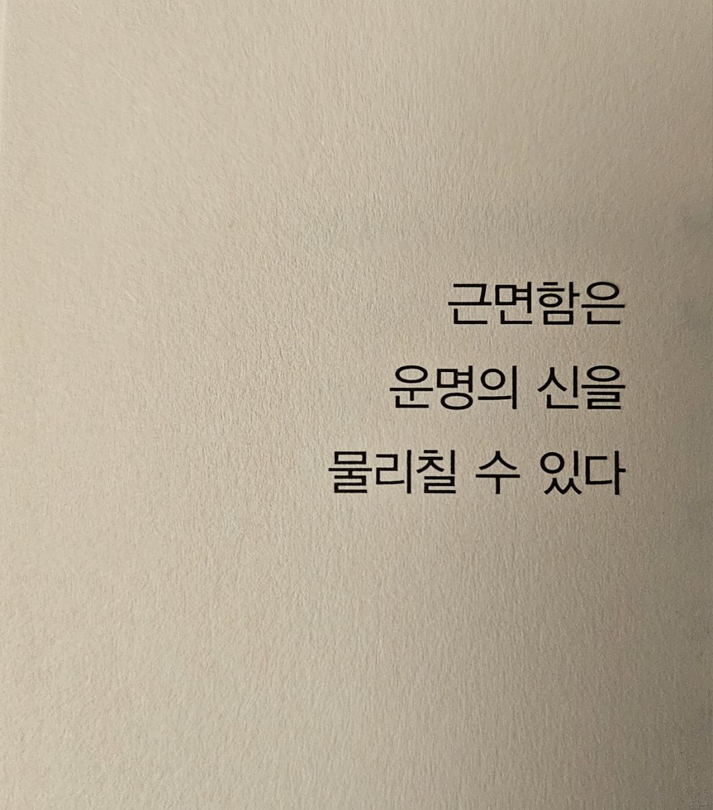 게시글 대표 이미지