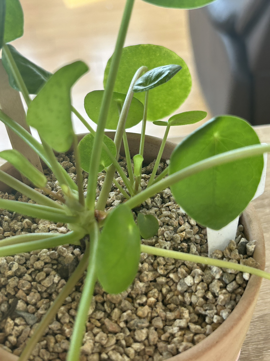 게시글 대표 이미지