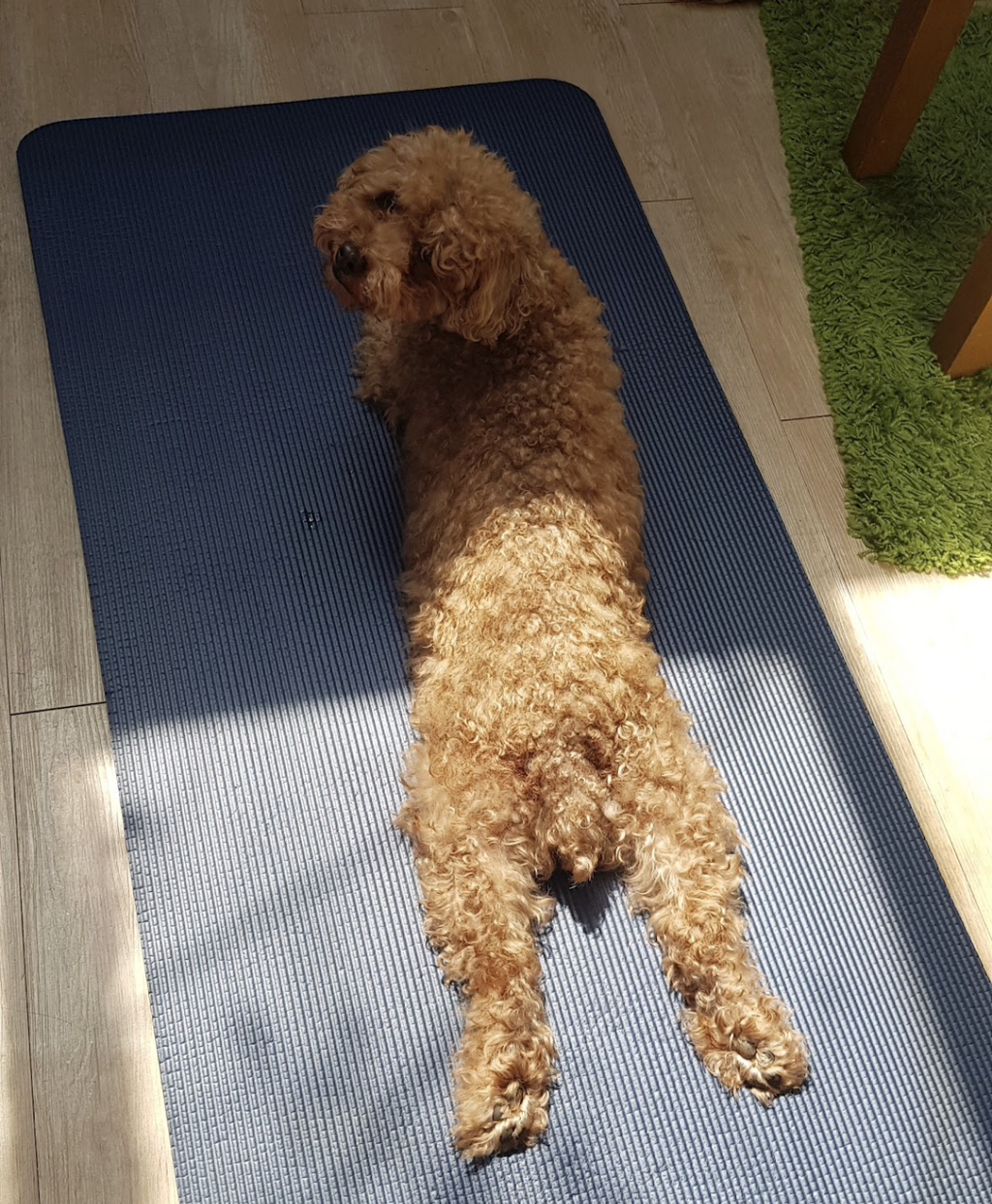 게시글 대표 이미지