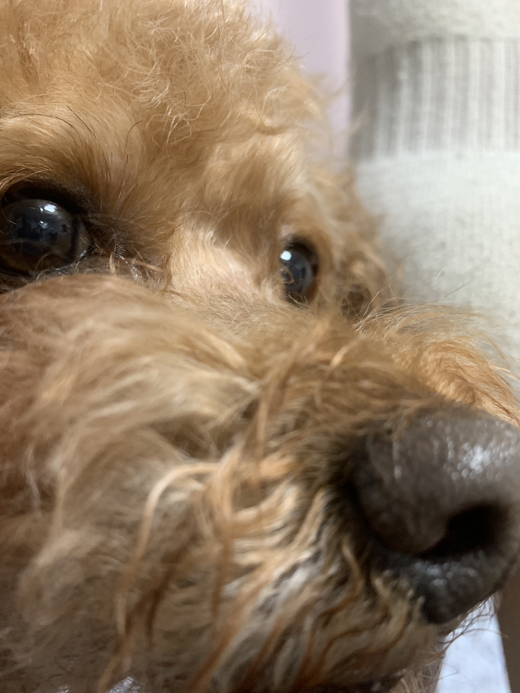 게시글 대표 이미지