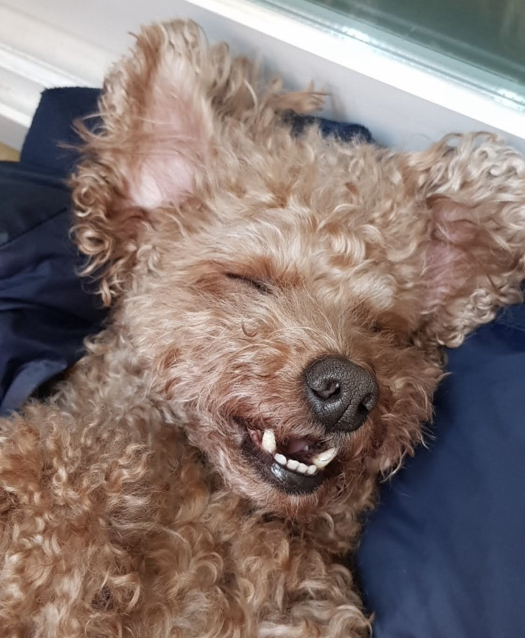 게시글 대표 이미지