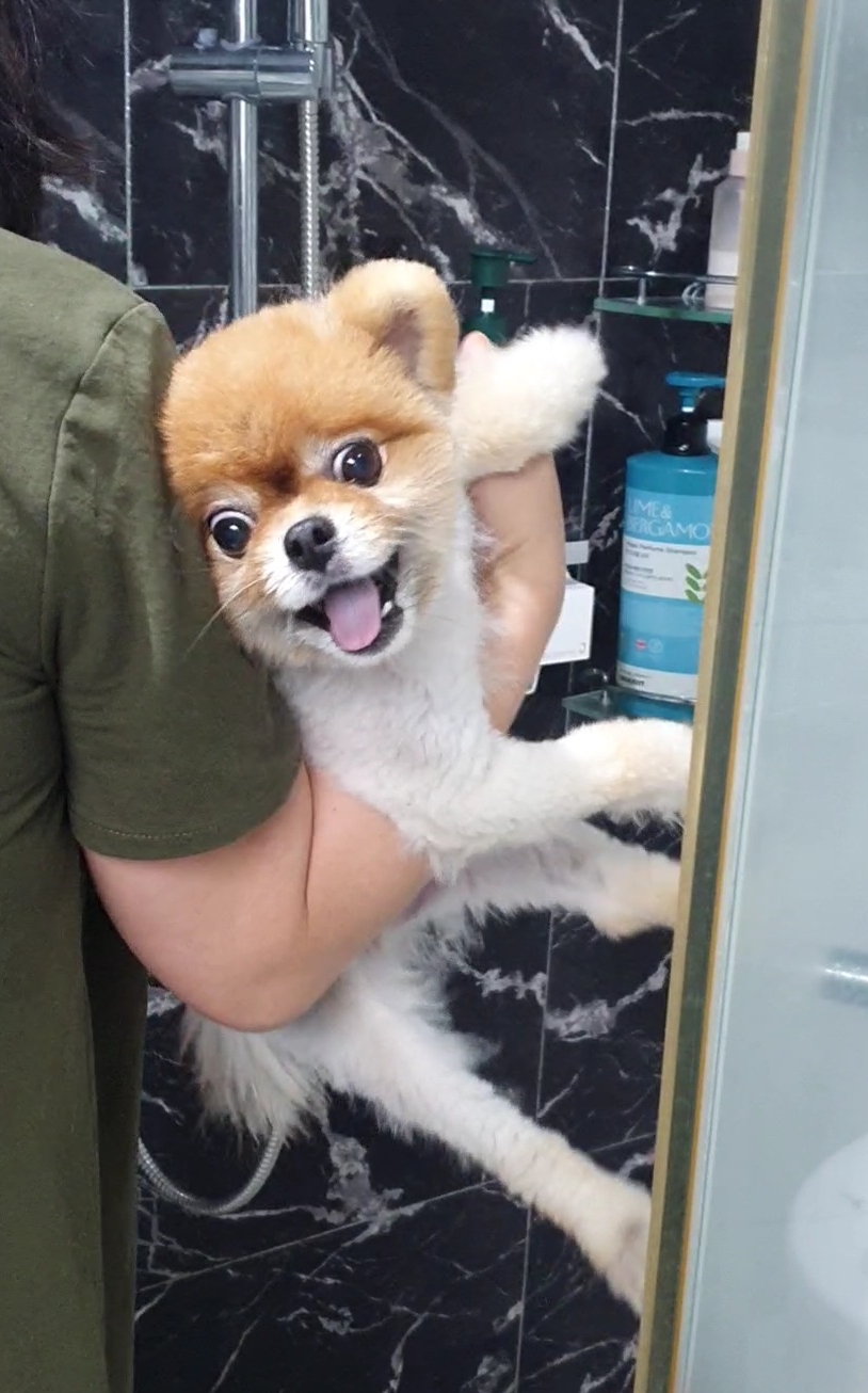 게시글 대표 이미지