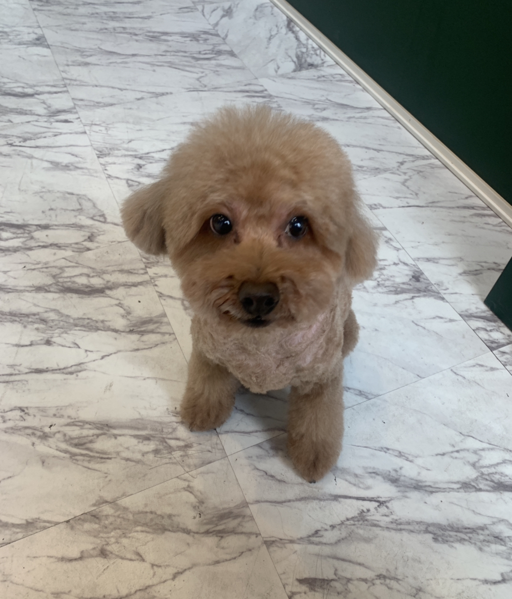 게시글 대표 이미지