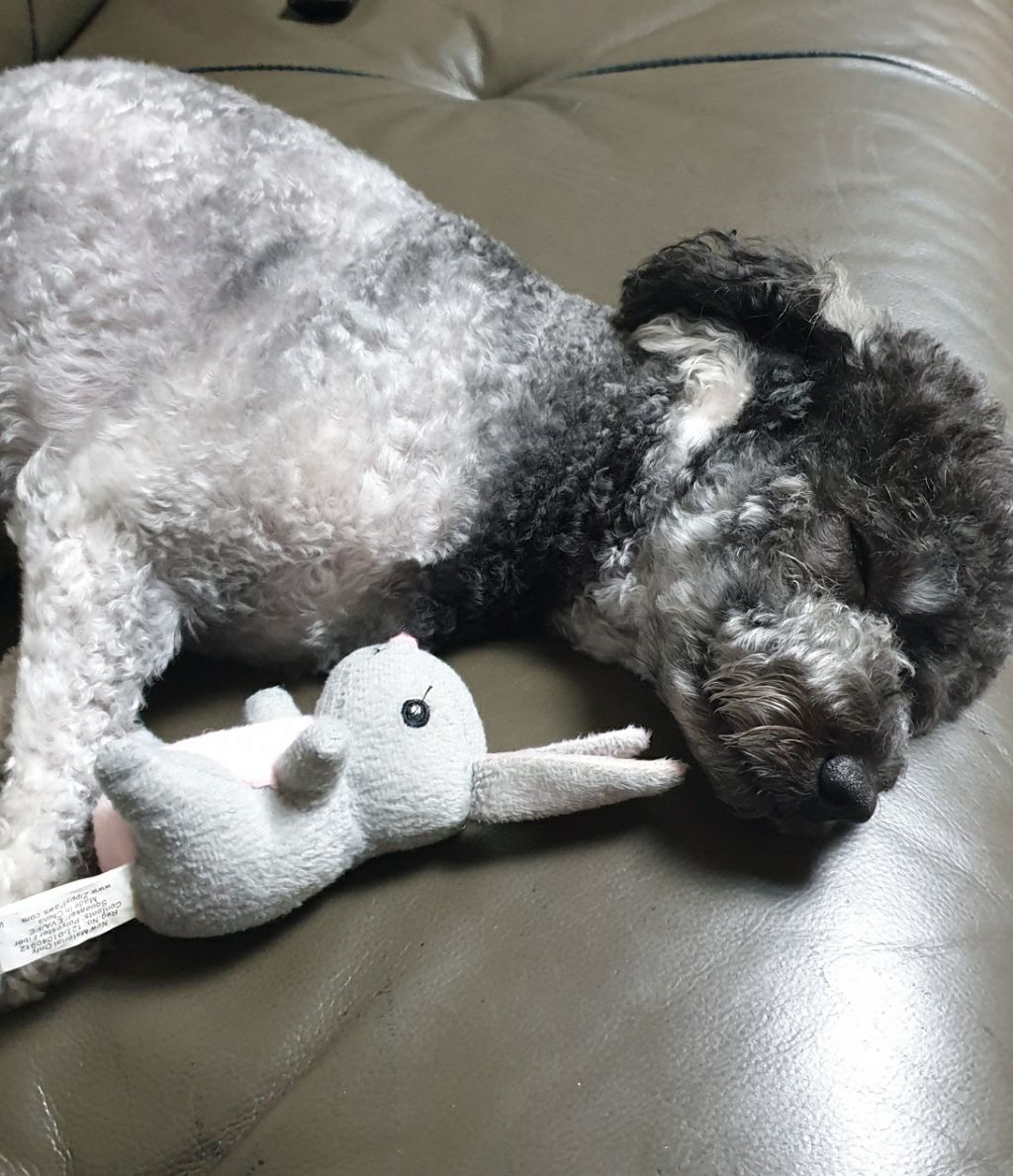 게시글 대표 이미지