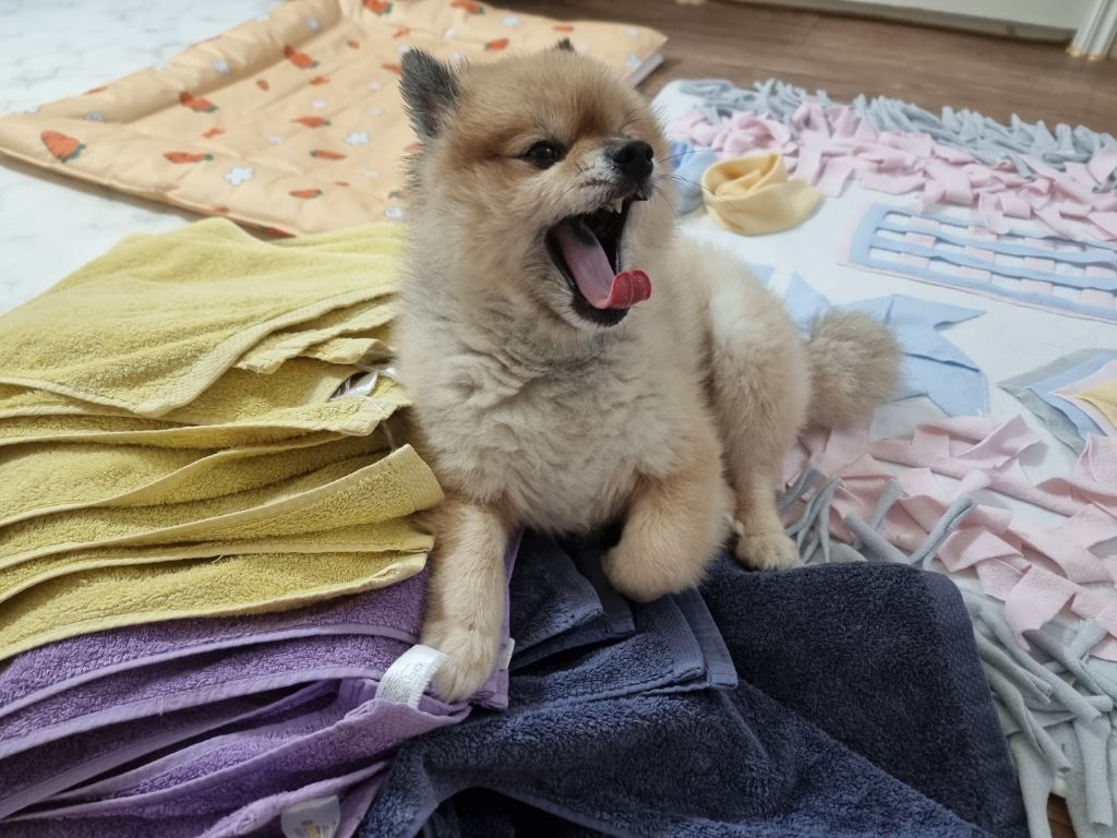 게시글 대표 이미지