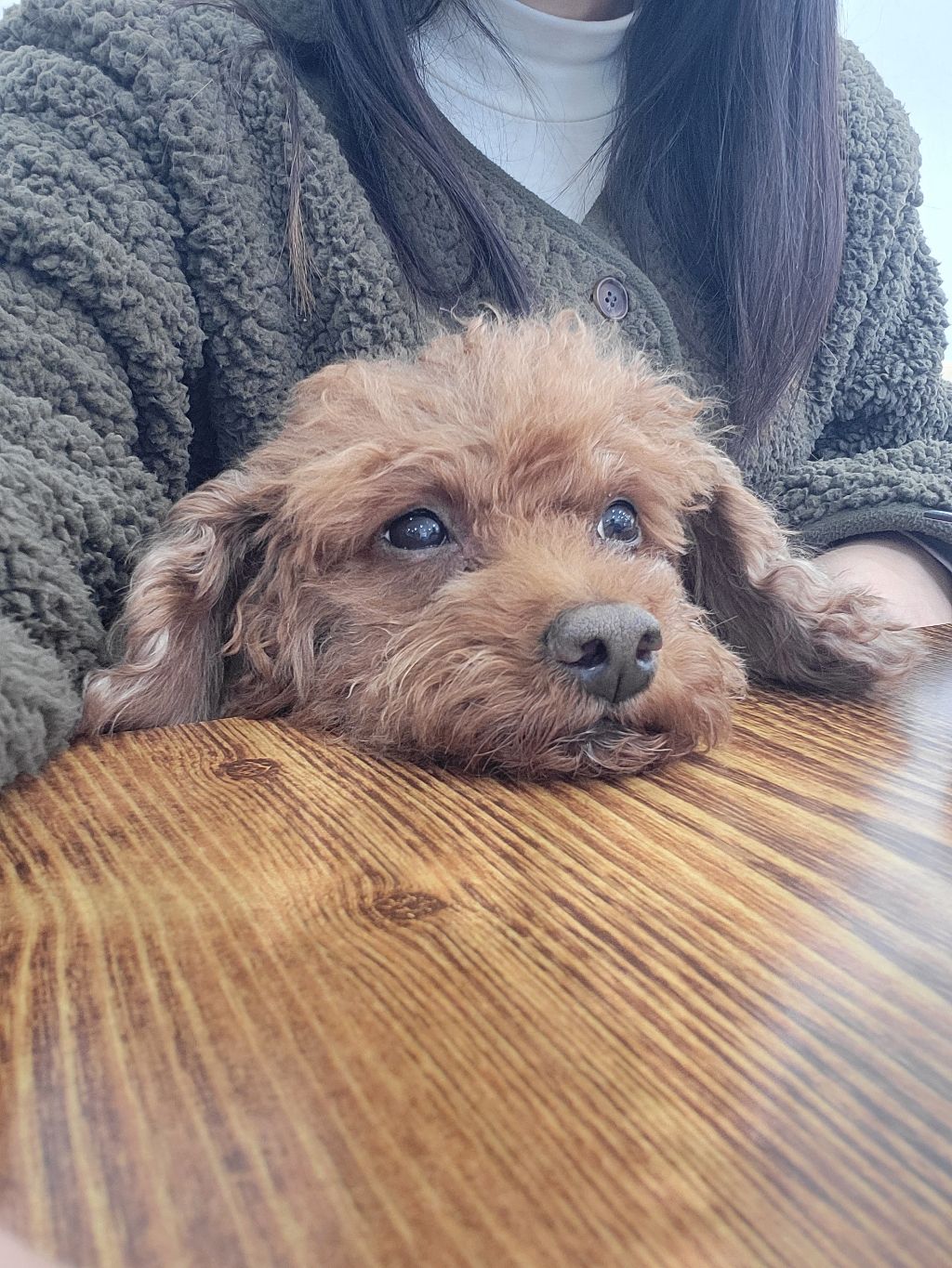 게시글 대표 이미지