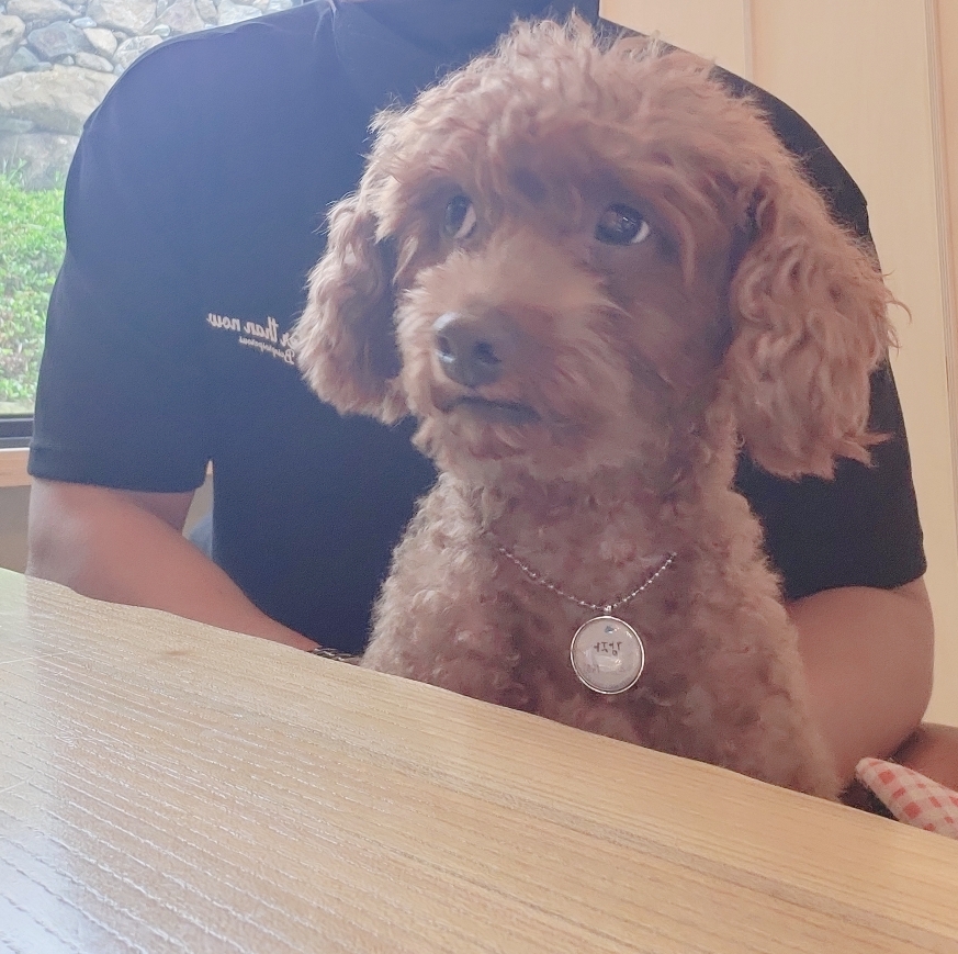 게시글 대표 이미지