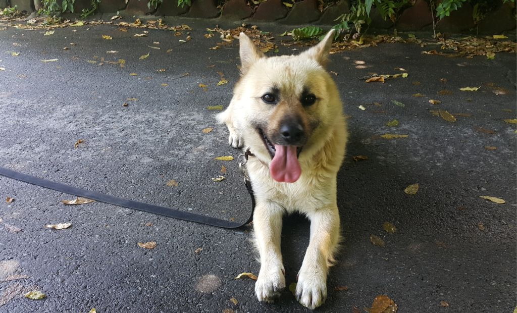 게시글 대표 이미지