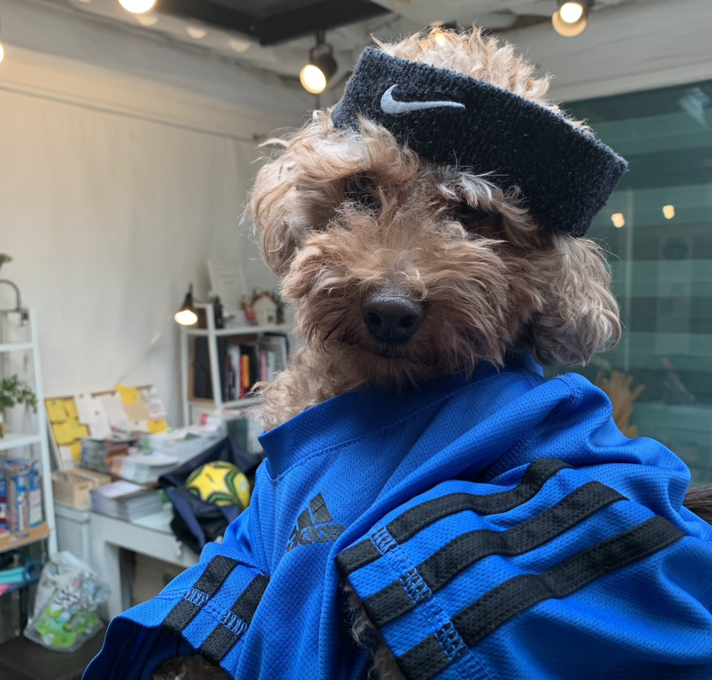 게시글 대표 이미지