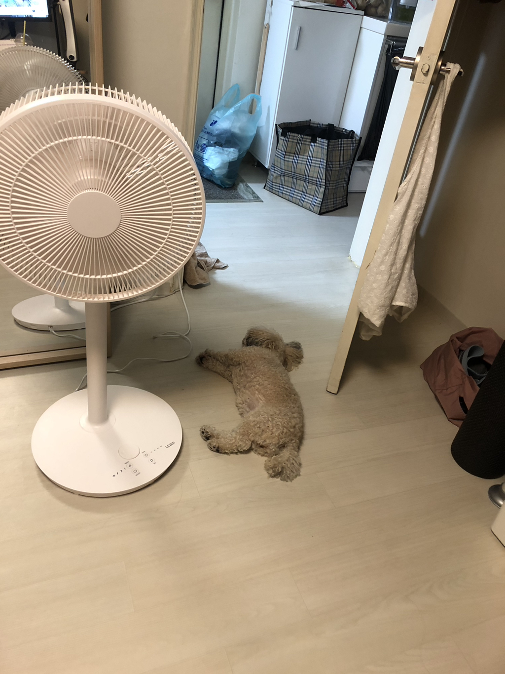 게시글 대표 이미지