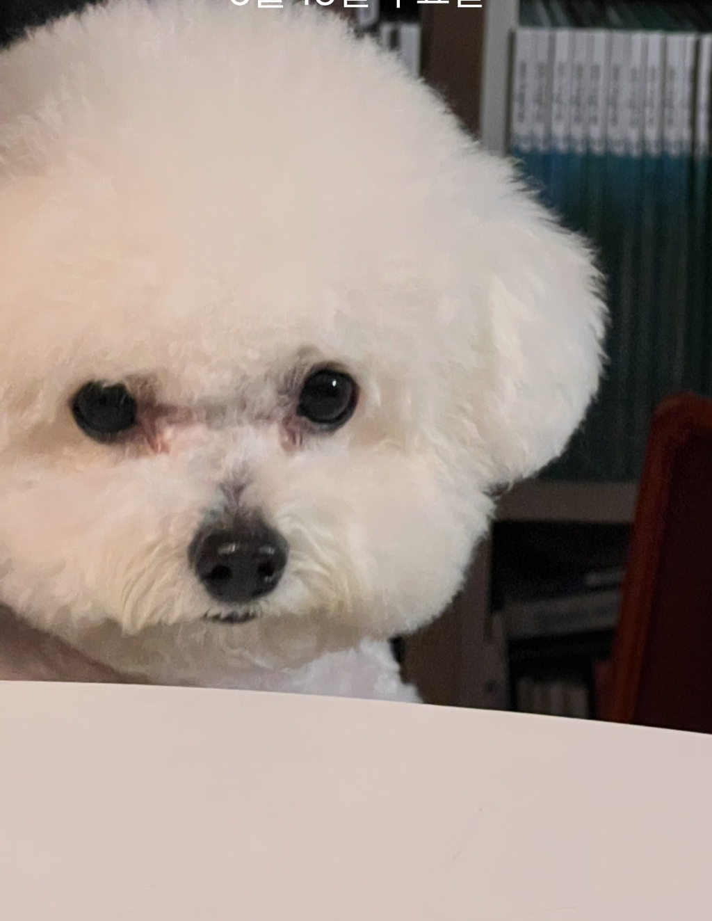 게시글 대표 이미지