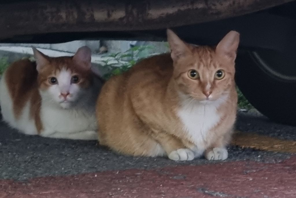 게시글 대표 이미지