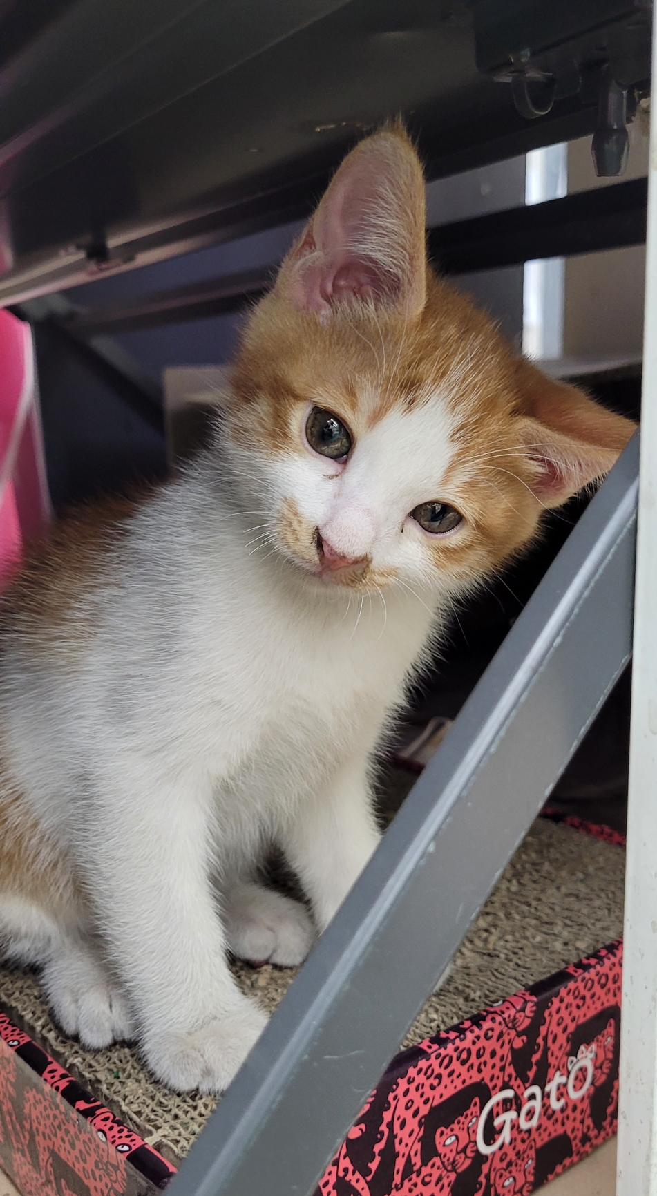 게시글 대표 이미지