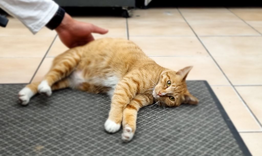 게시글 대표 이미지