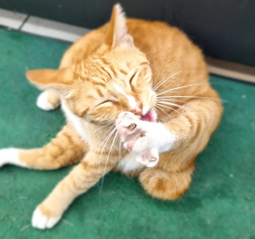 게시글 대표 이미지