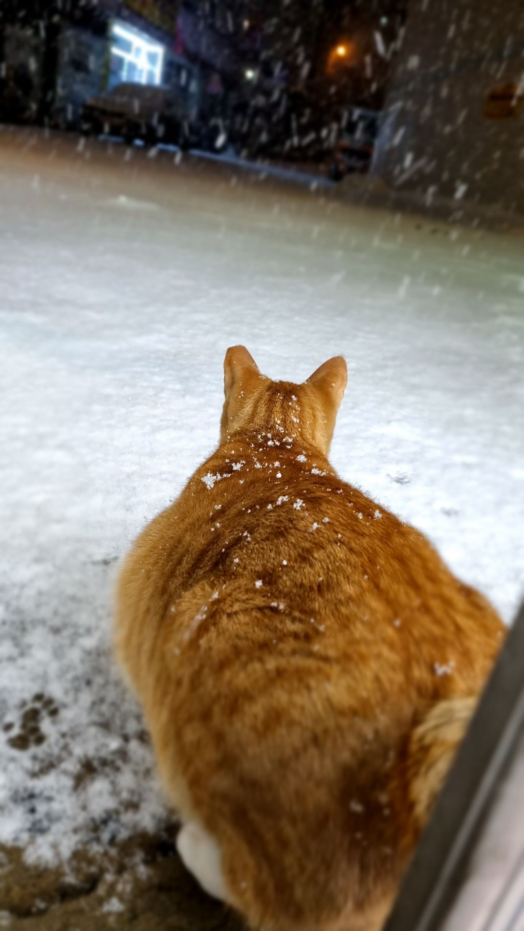 게시글 대표 이미지