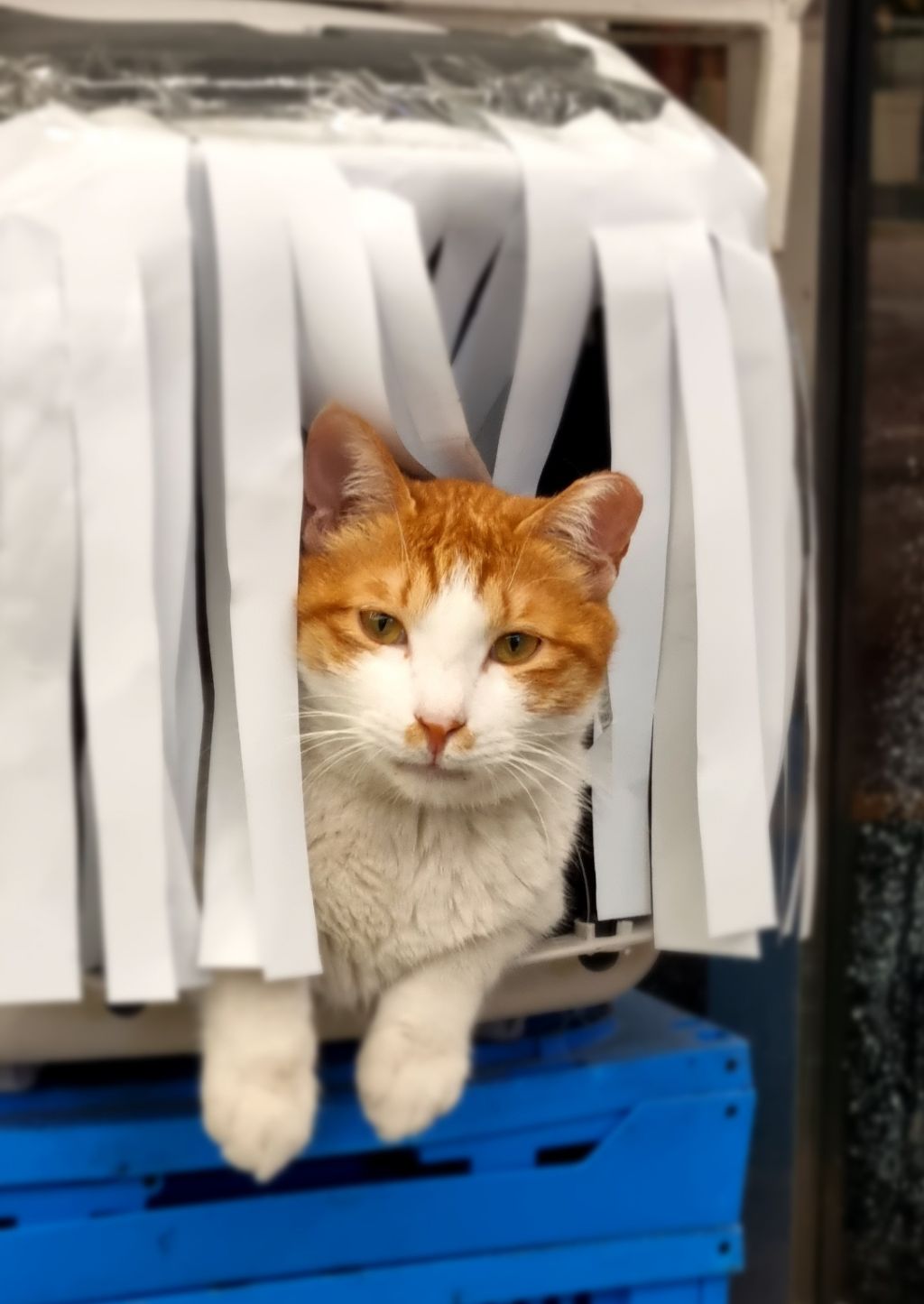 게시글 대표 이미지