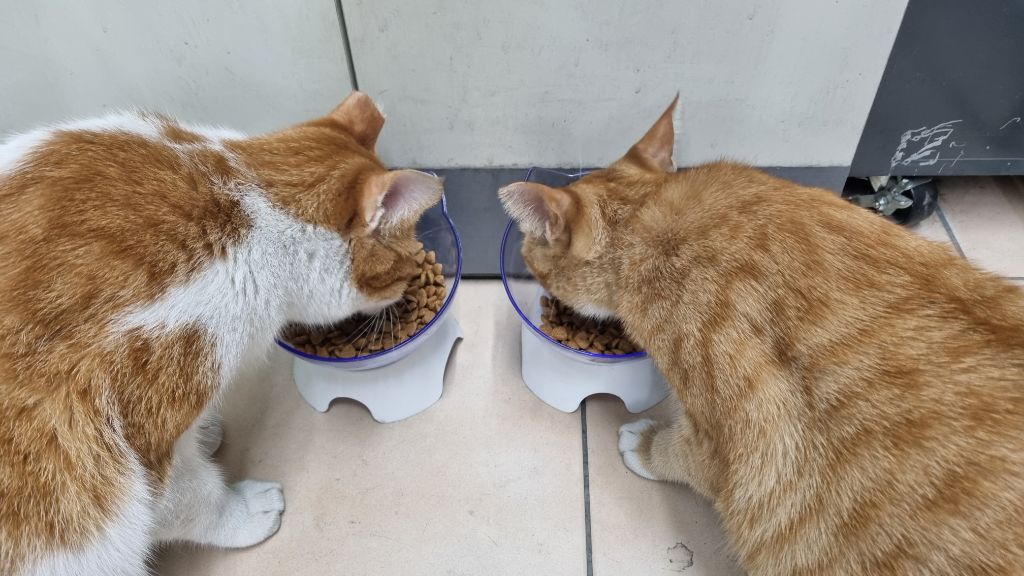 게시글 대표 이미지