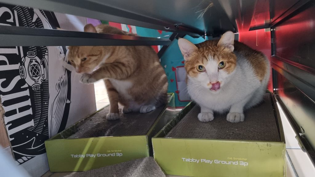 게시글 대표 이미지