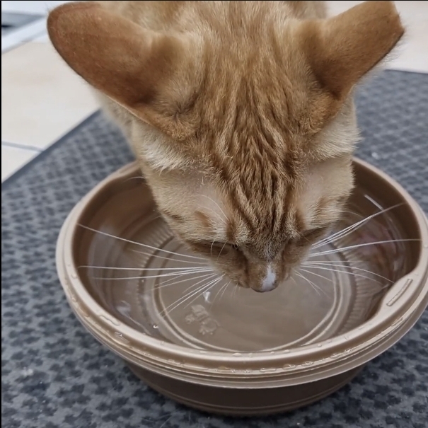 게시글 대표 이미지