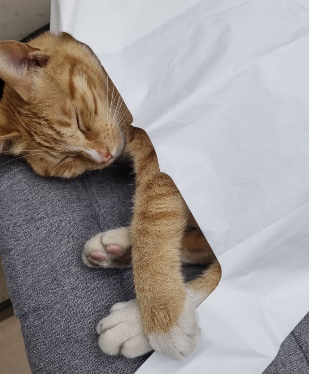 게시글 대표 이미지