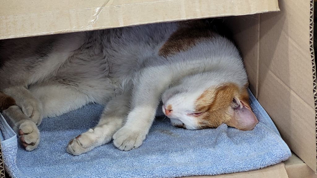 게시글 대표 이미지