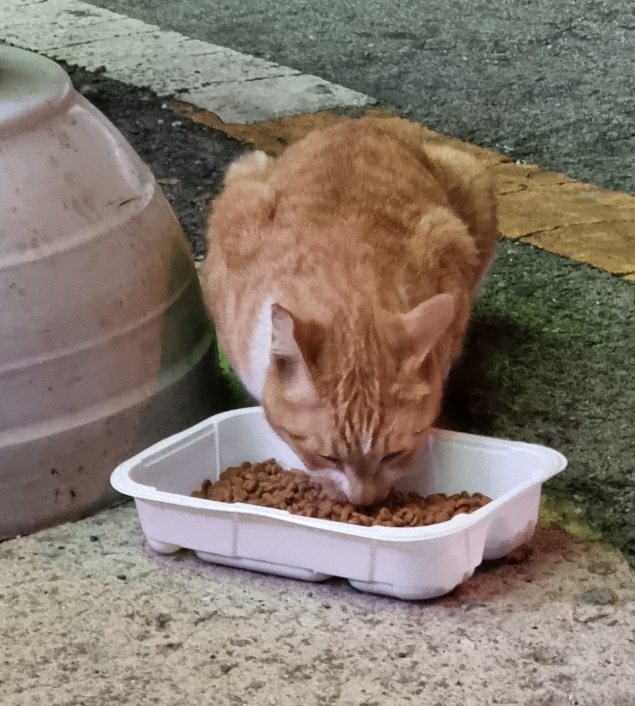 게시글 대표 이미지