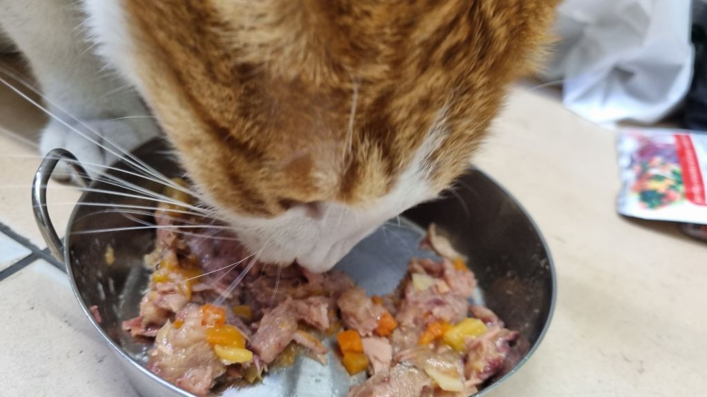 게시글 대표 이미지