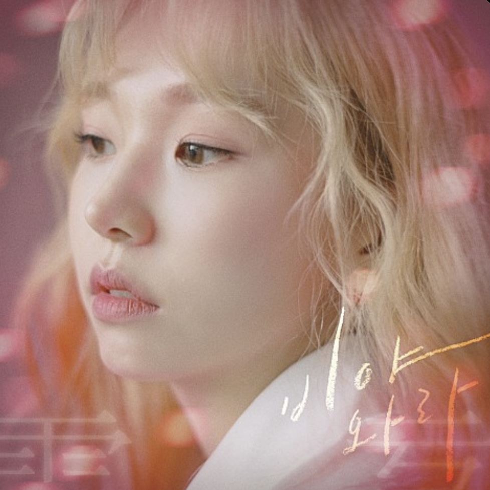 게시글 대표 이미지