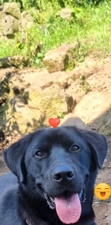 게시글 대표 이미지