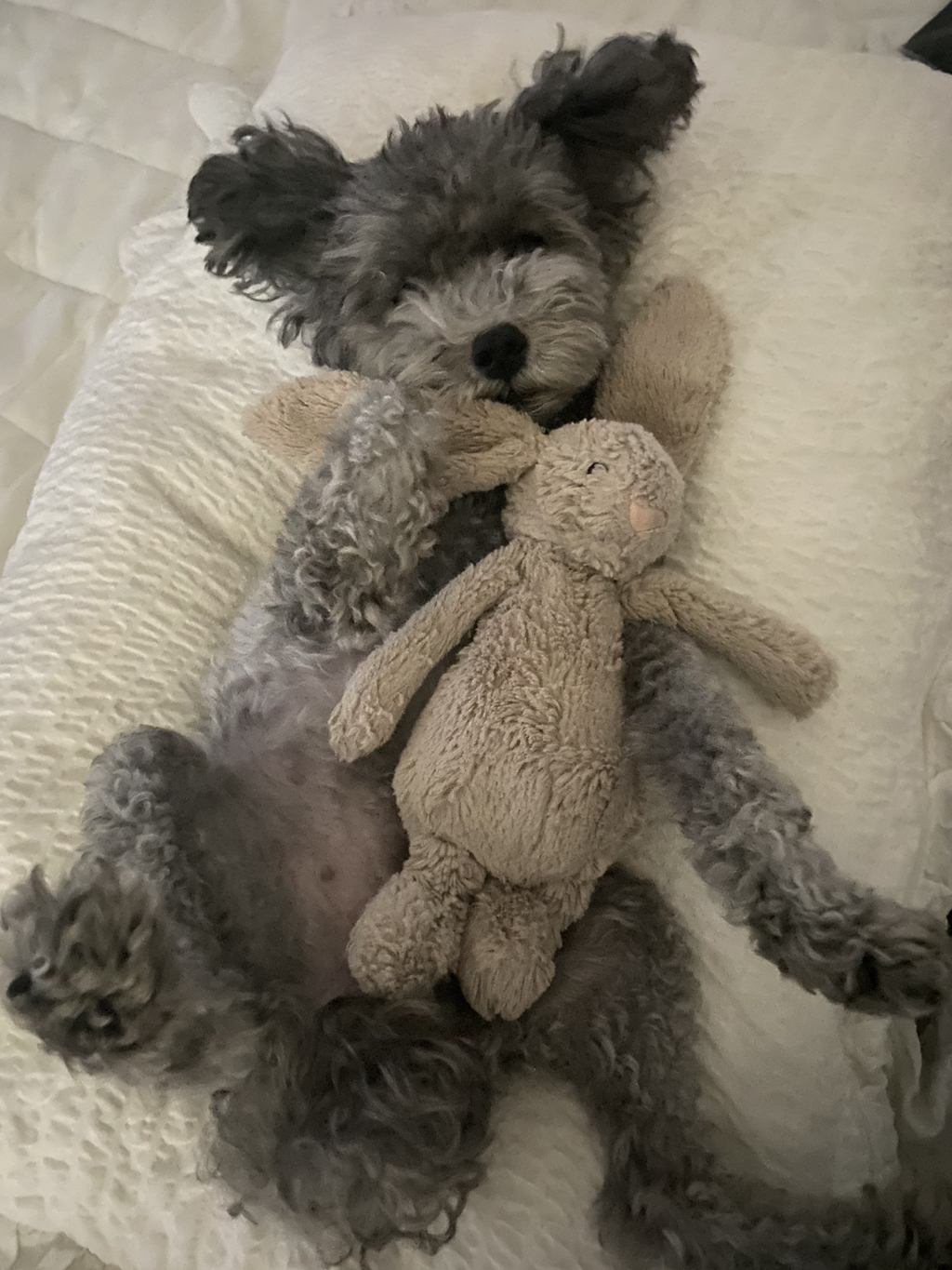 게시글 대표 이미지