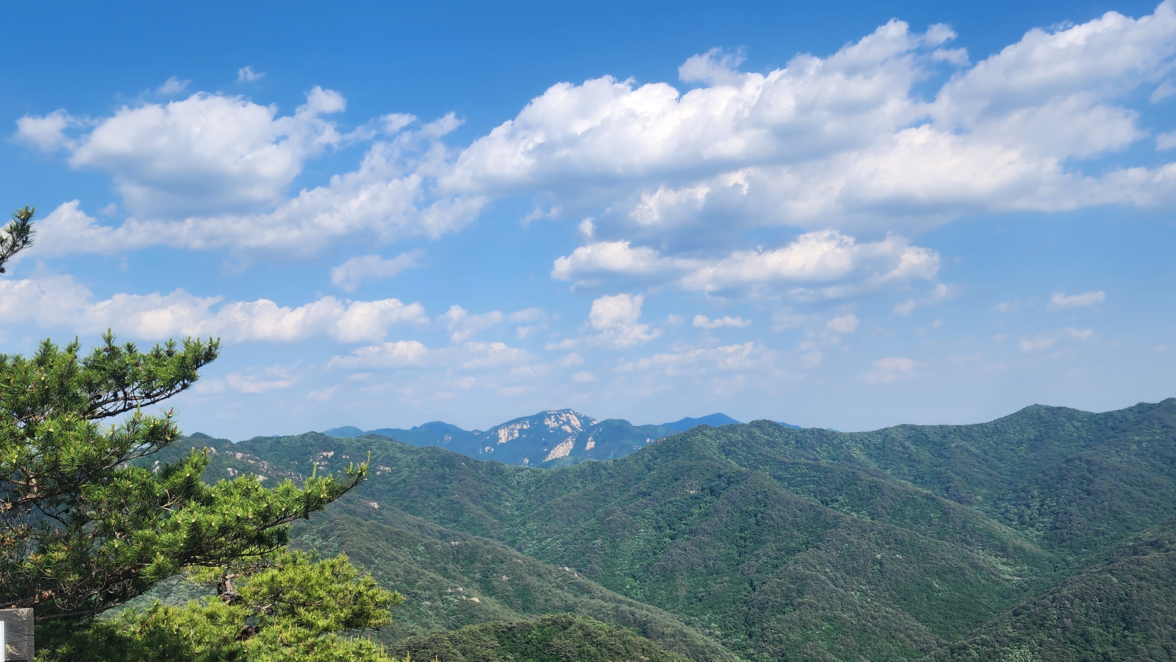 게시글 대표 이미지