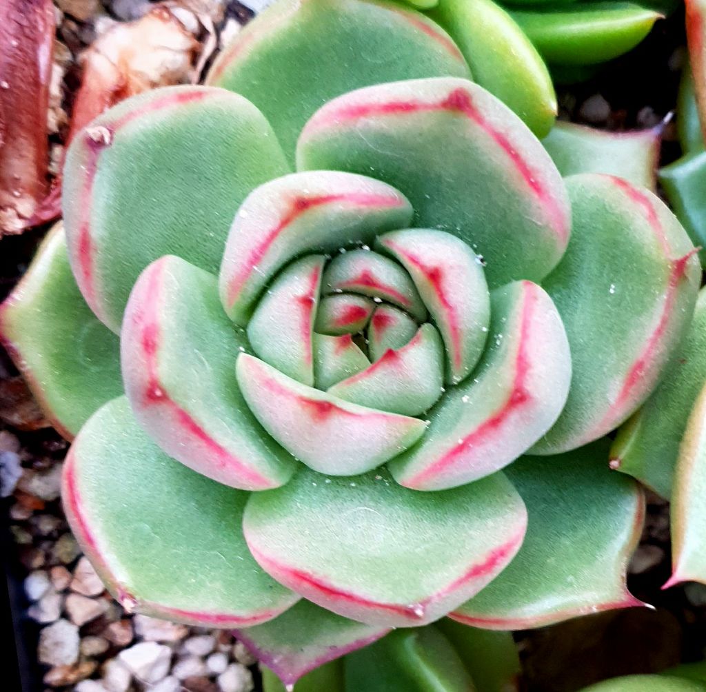 게시글 대표 이미지