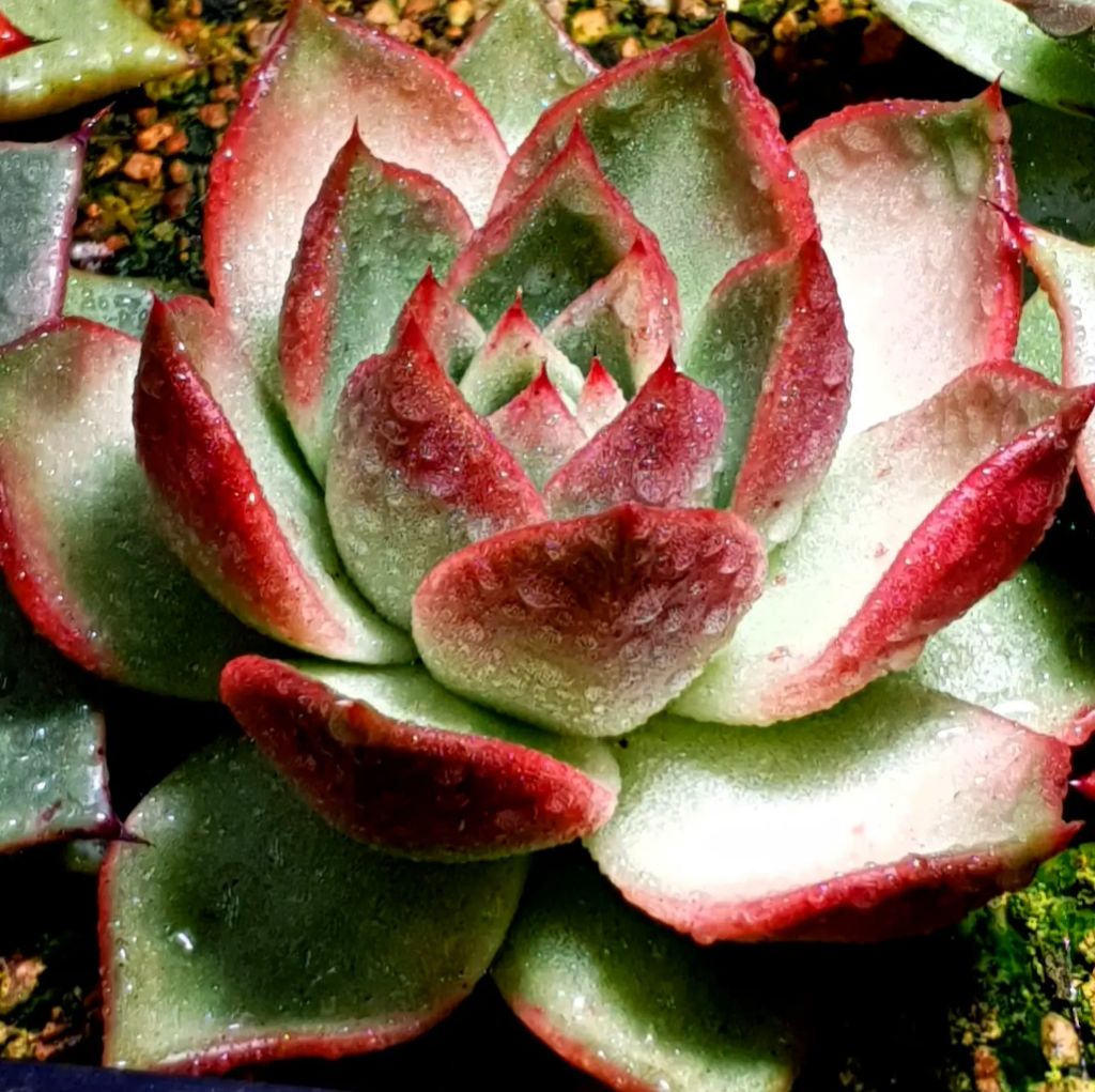 게시글 대표 이미지