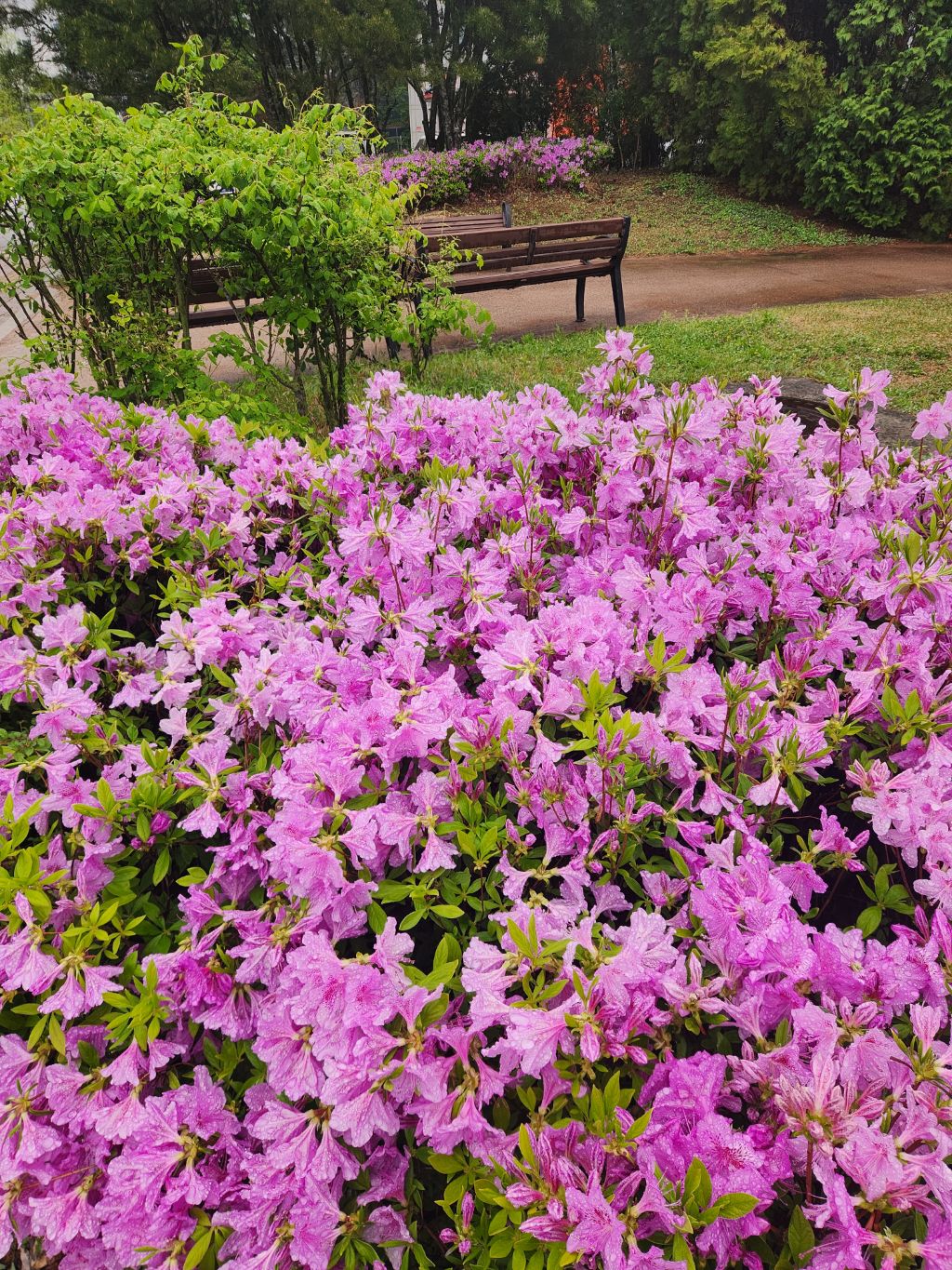 게시글 대표 이미지