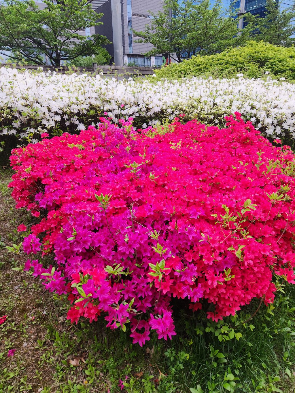 게시글 대표 이미지